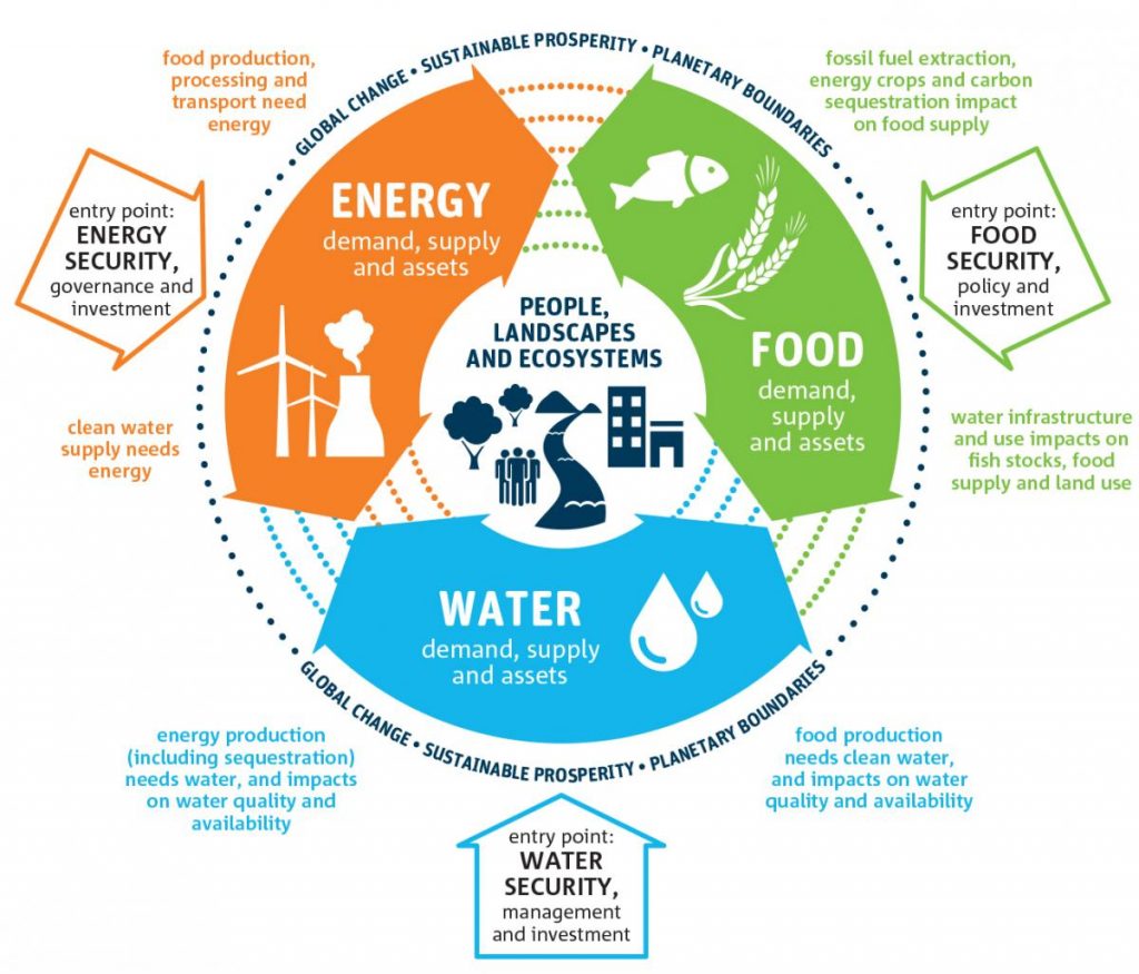 case study on household energy and water consumption