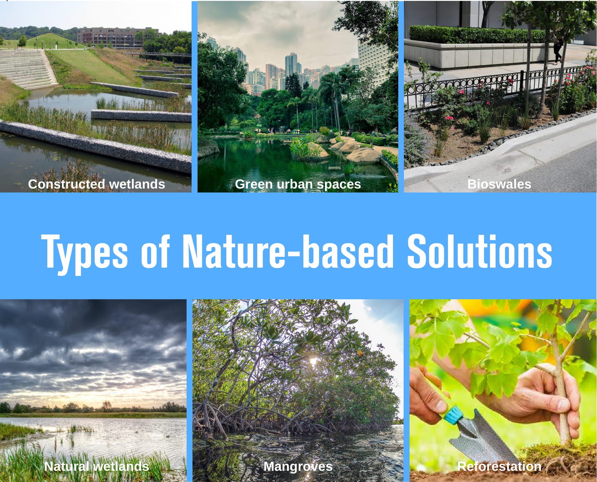 Nature-based Solutions: advantage of being a developing country - International Water Association